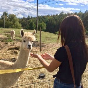 Meet your Posher, Jordyn